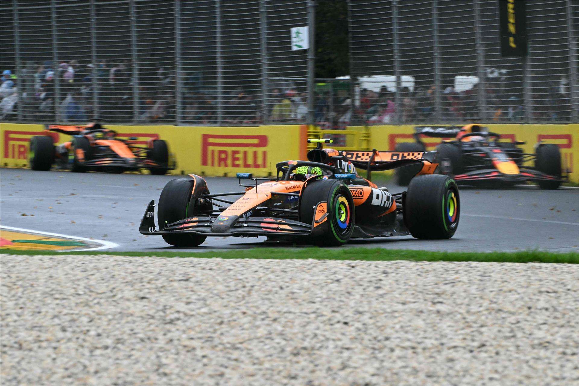 لاندو نوريس