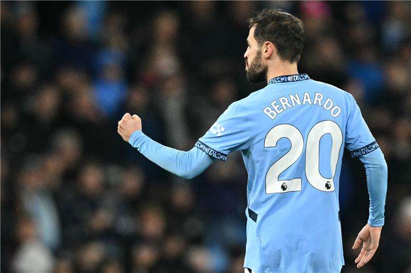 برناردو سيلفا