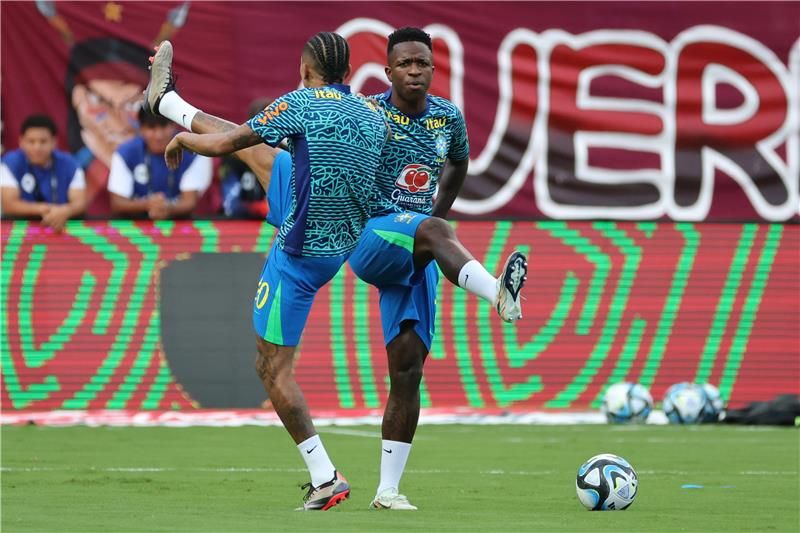 رافينيا وفينيسيوس