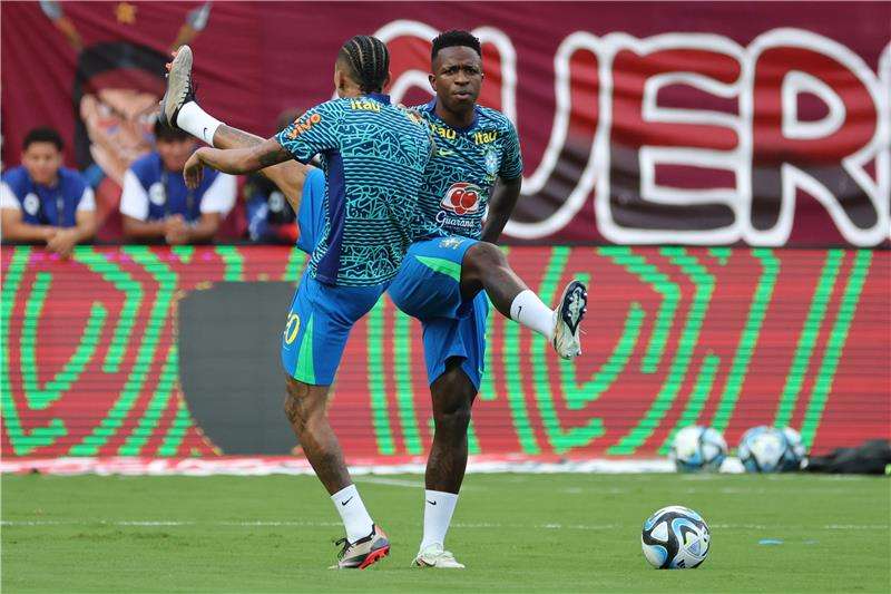 رافينيا وفينيسيوس