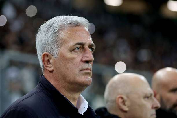 فلاديمير بيتكوفيتش