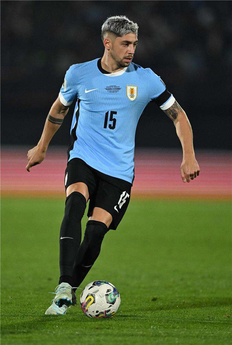 فيدي فالفيردي