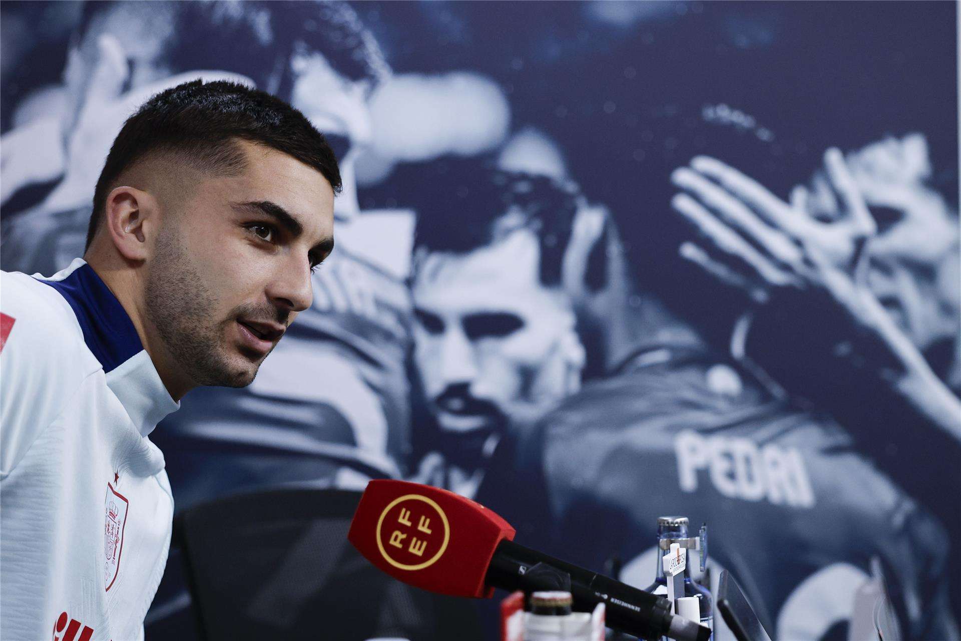 فيران توريس