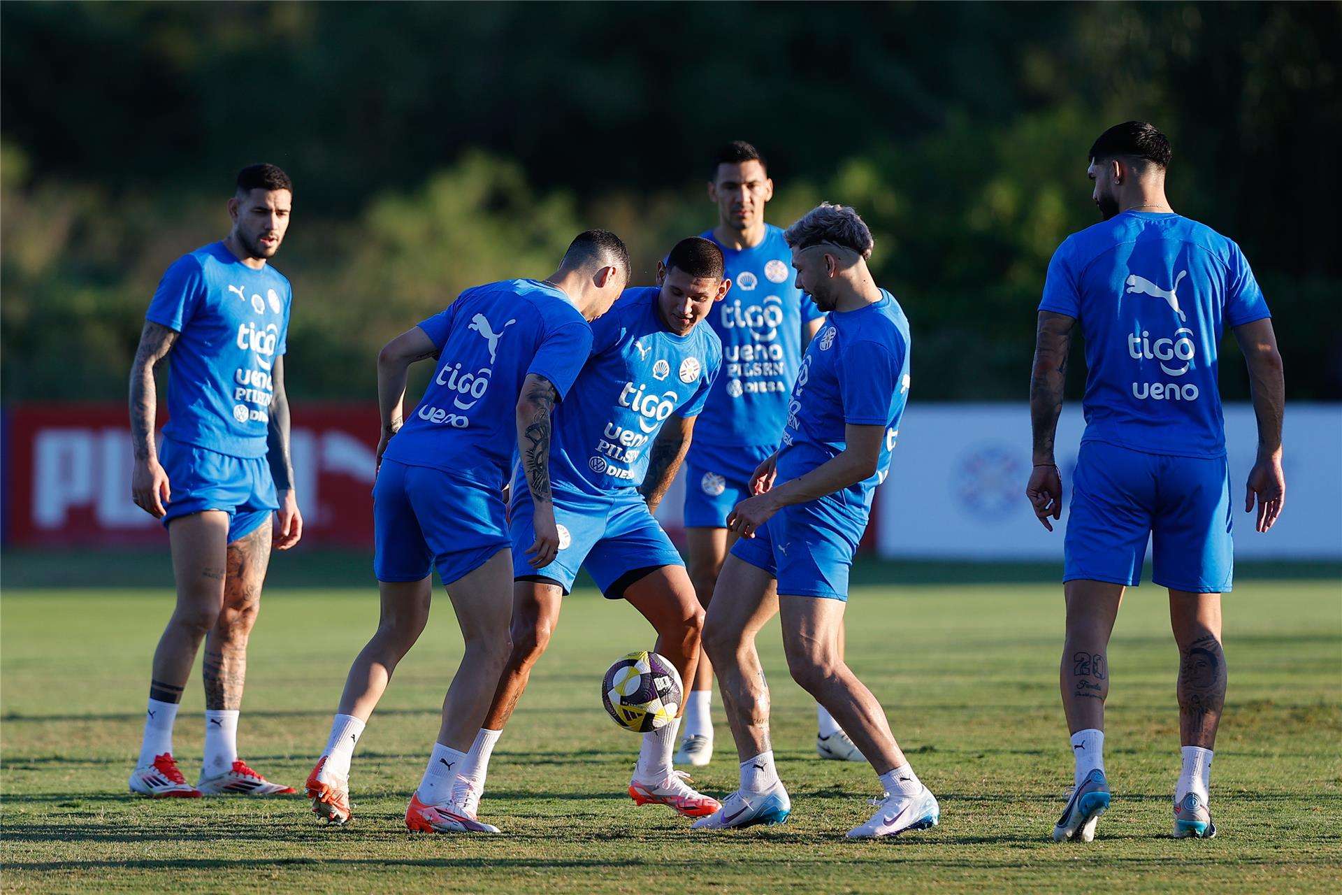 منتخب باراجواي