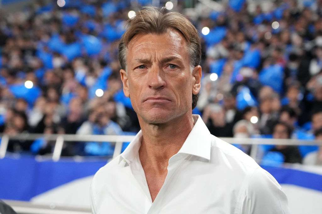 هيرفي رينارد