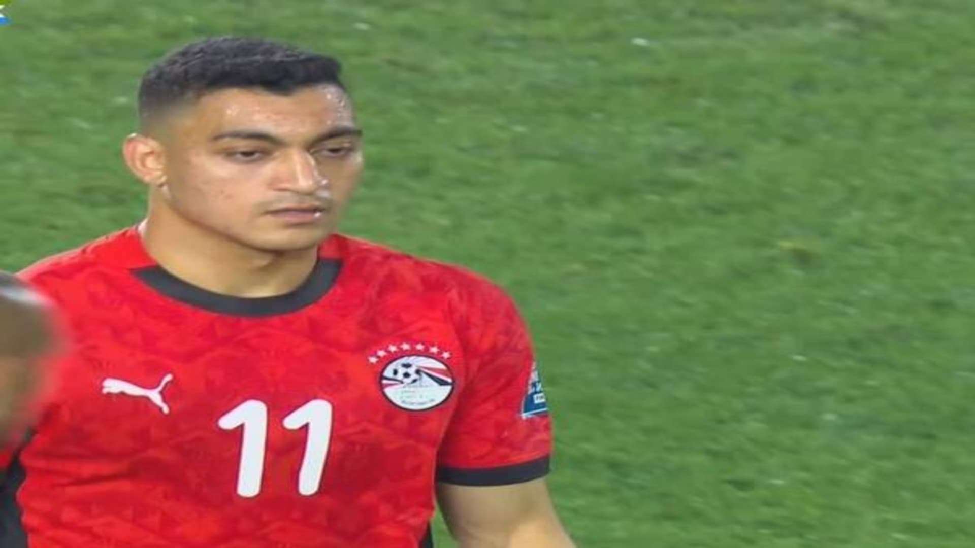 مصطفى محمد