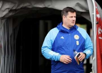 مايكل مكاردل