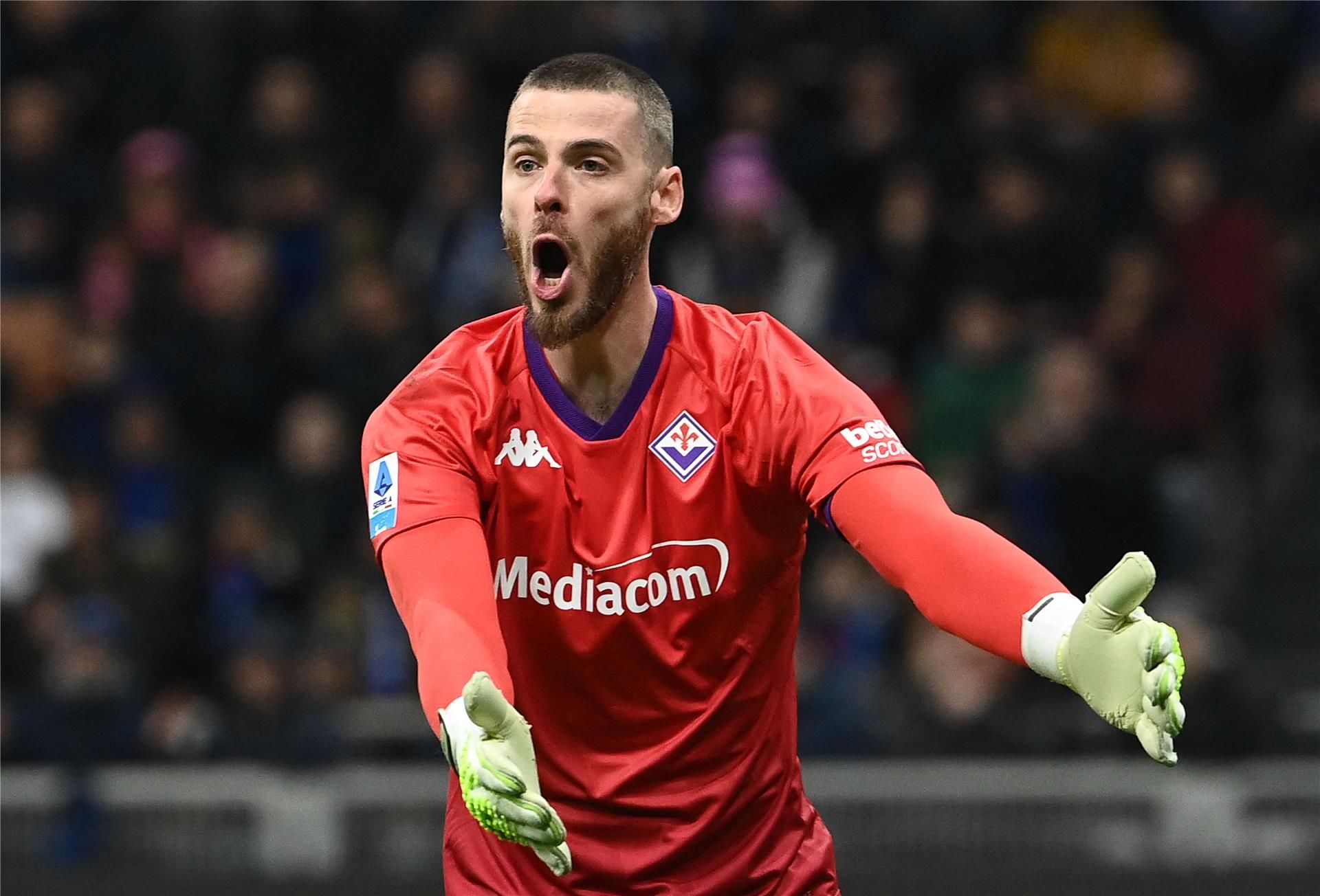 دافيد دي خيا