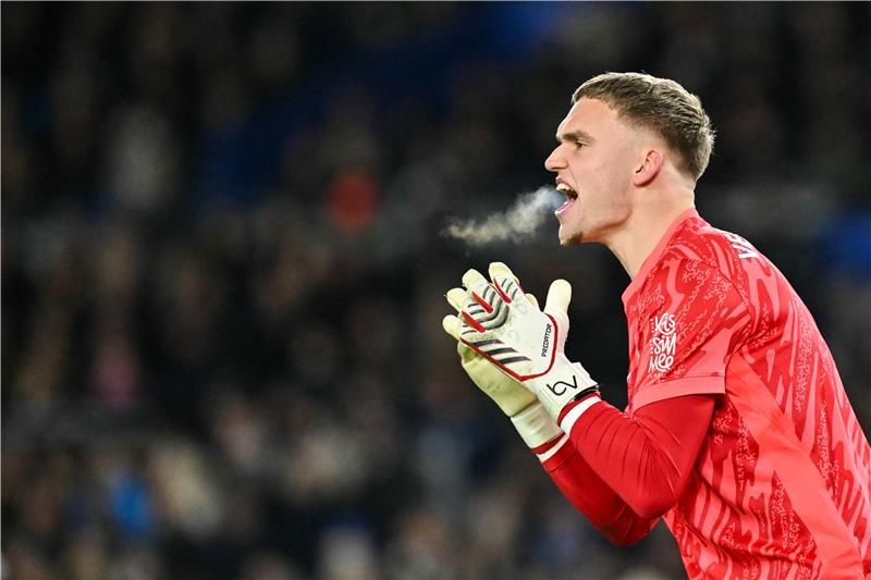 بارت فيبروخين