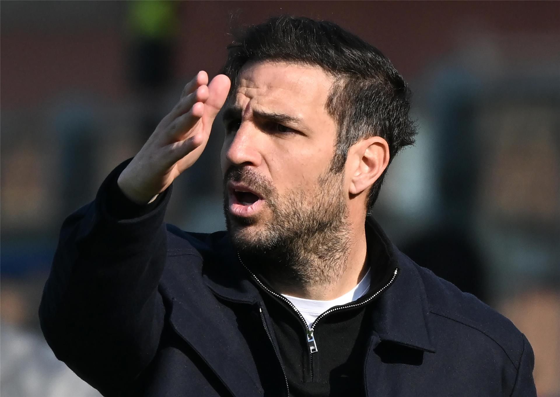 سيسك فابريجاس