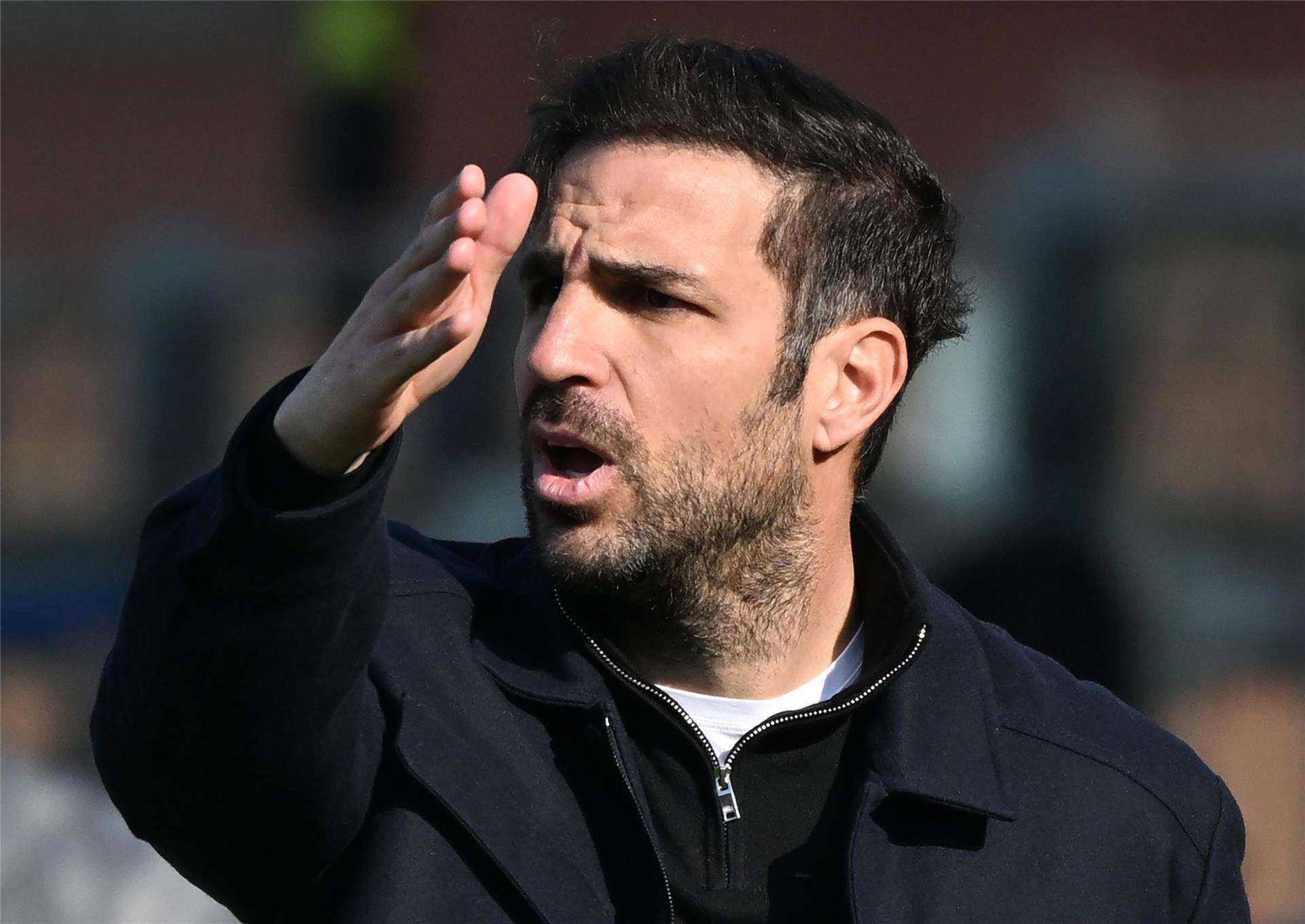 سيسك فابريجاس