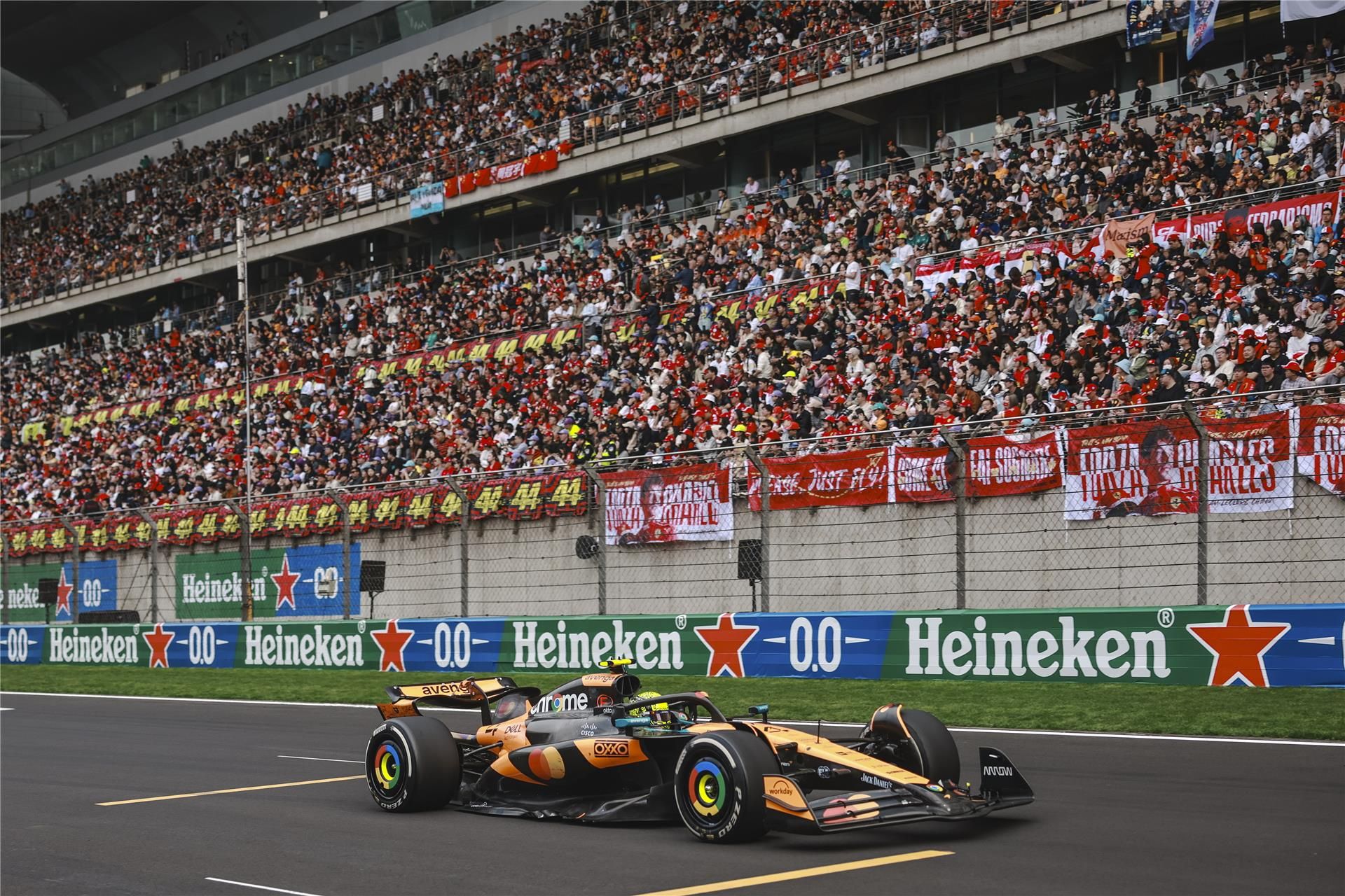 لاندو نوريس