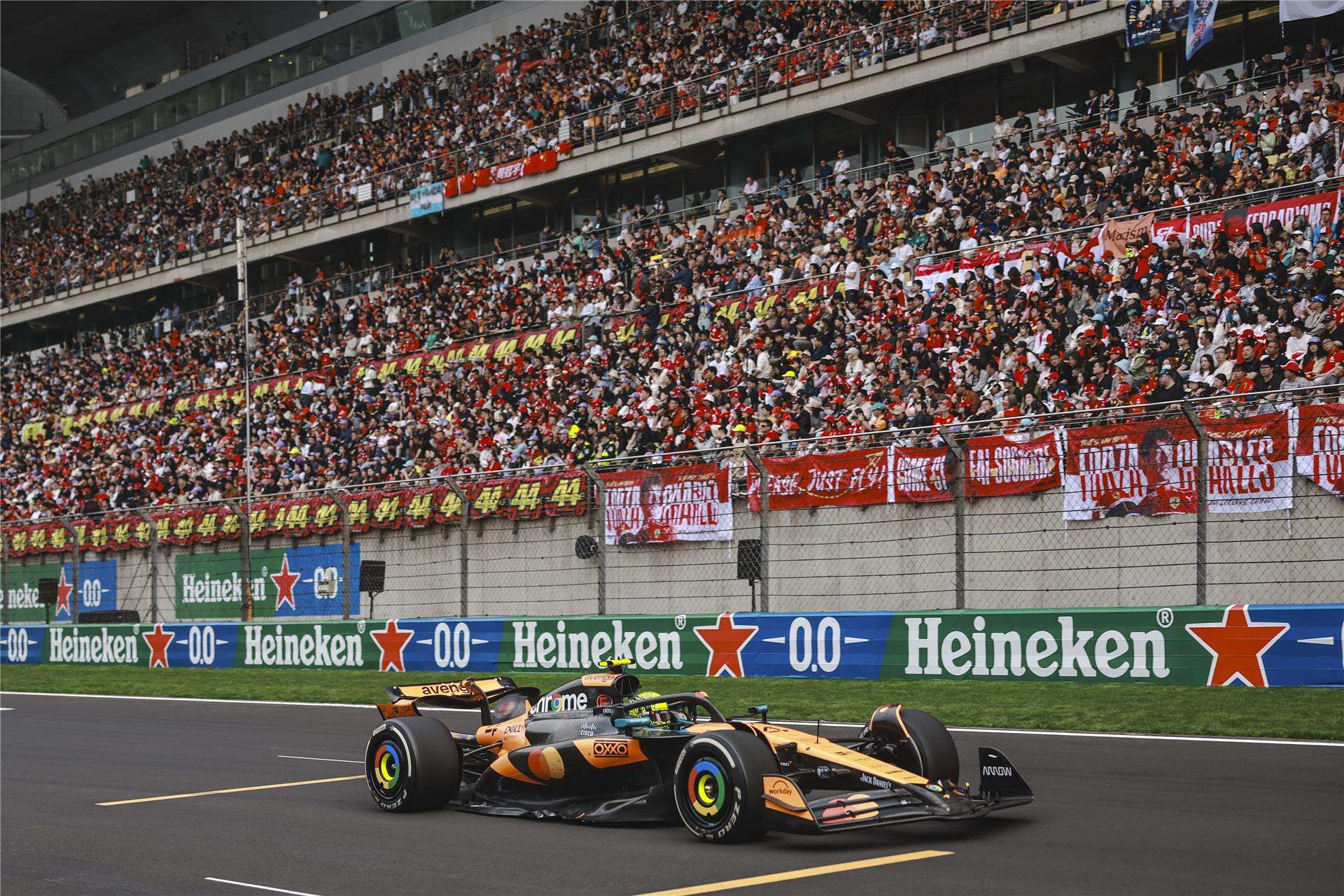 لاندو نوريس