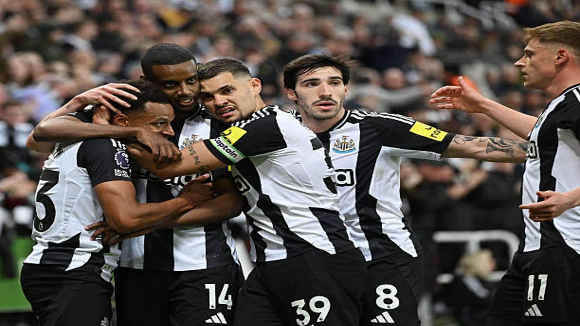 فرحة لاعبي نيوكاسل