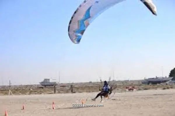 ?i=corr%2f561%2fkoo_561473