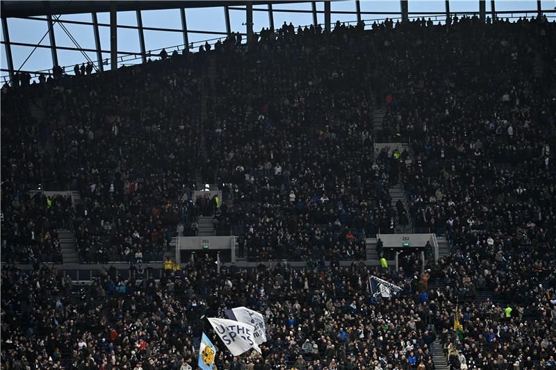 جماهير توتنهام - أرشيفية