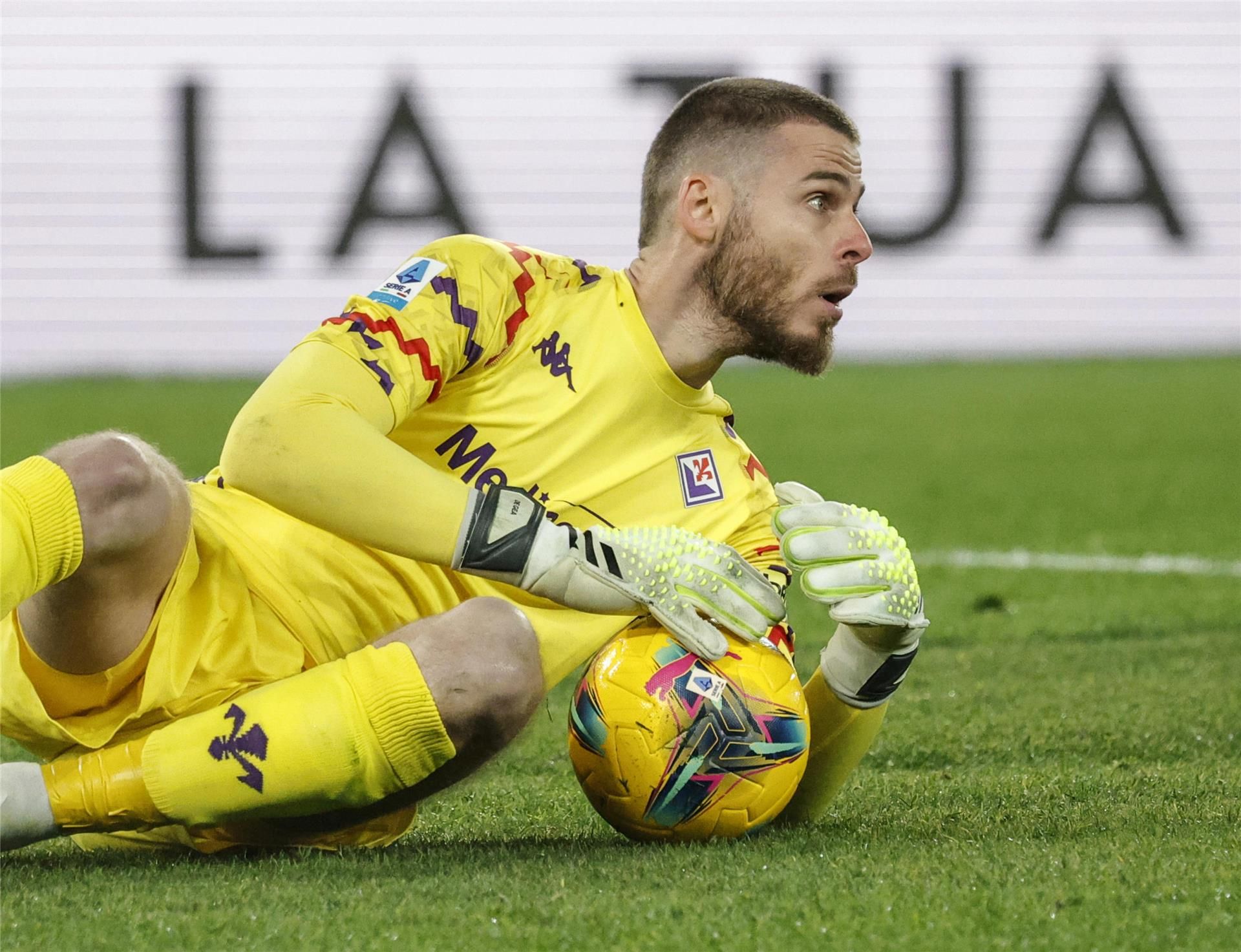 ديفيد دي خيا