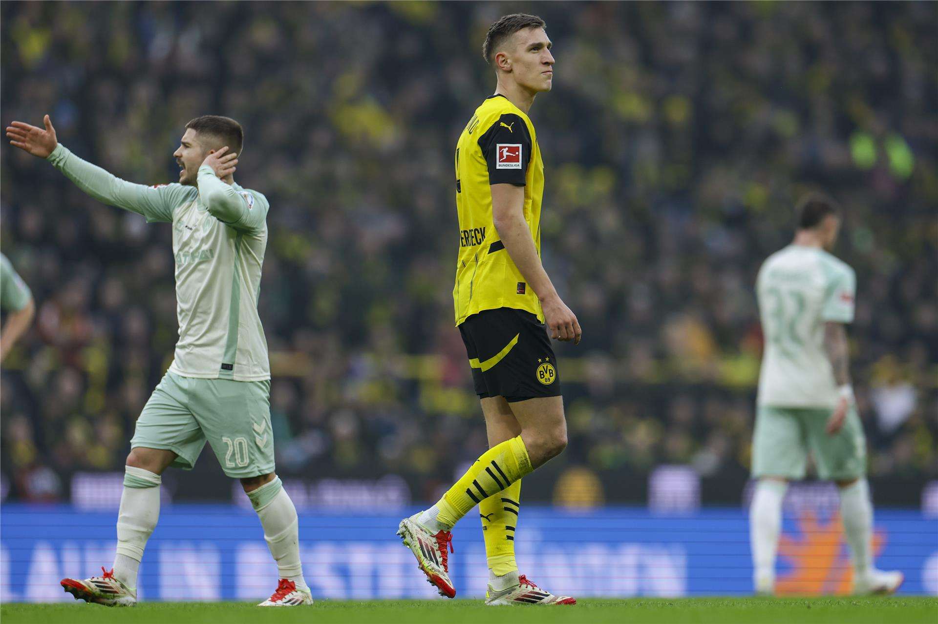 نيكو شلوتربيك