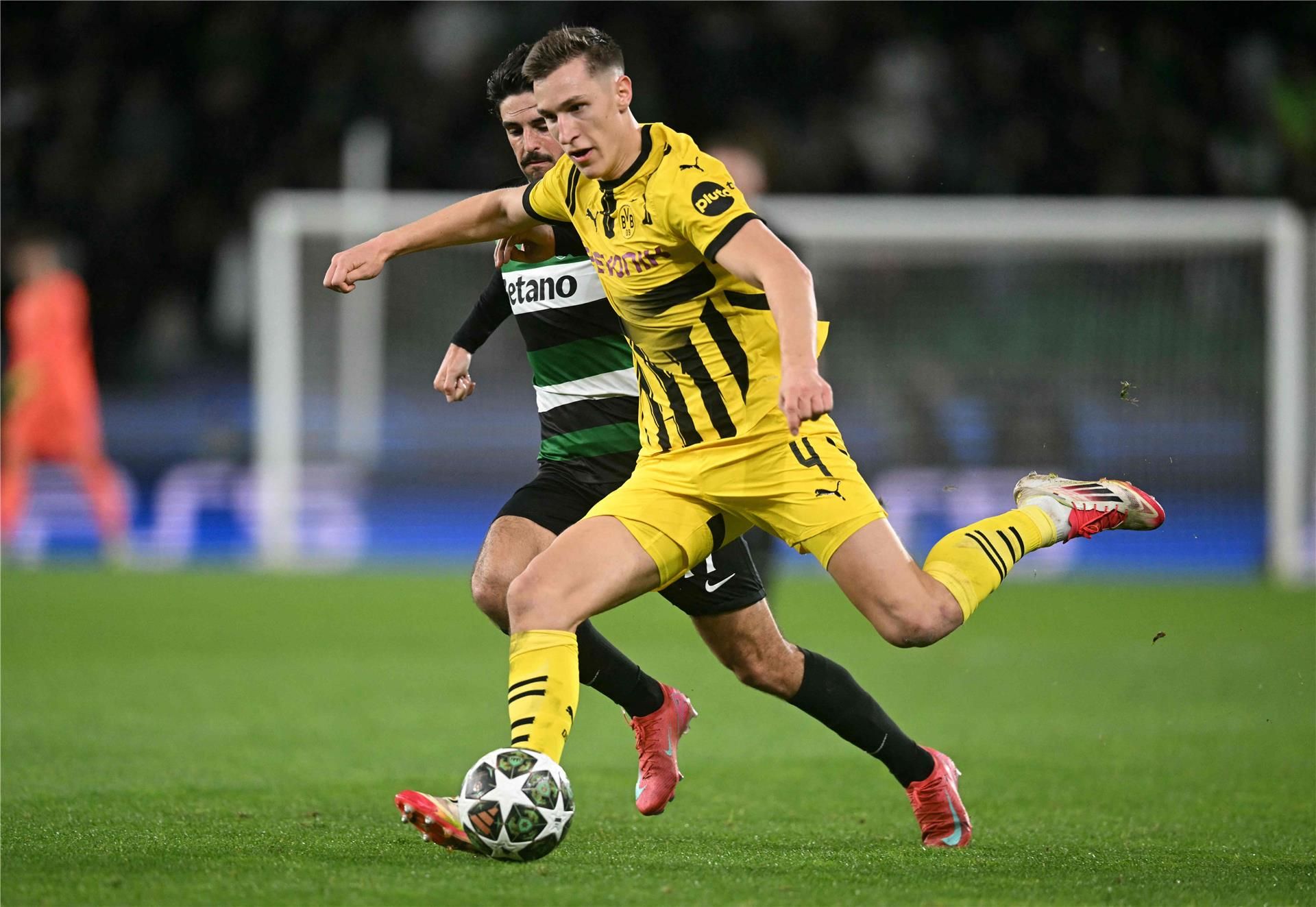 نيكو شلوتربيك