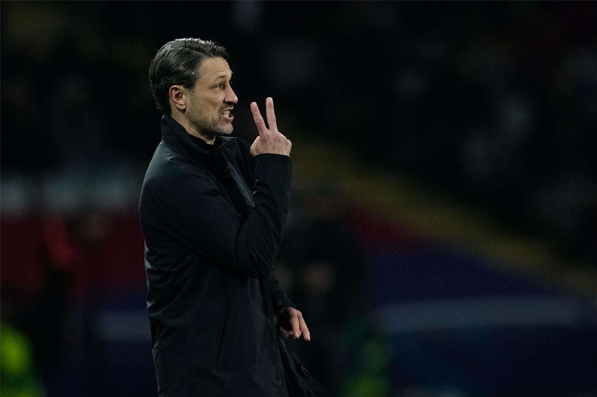 نيكو كوفاتش