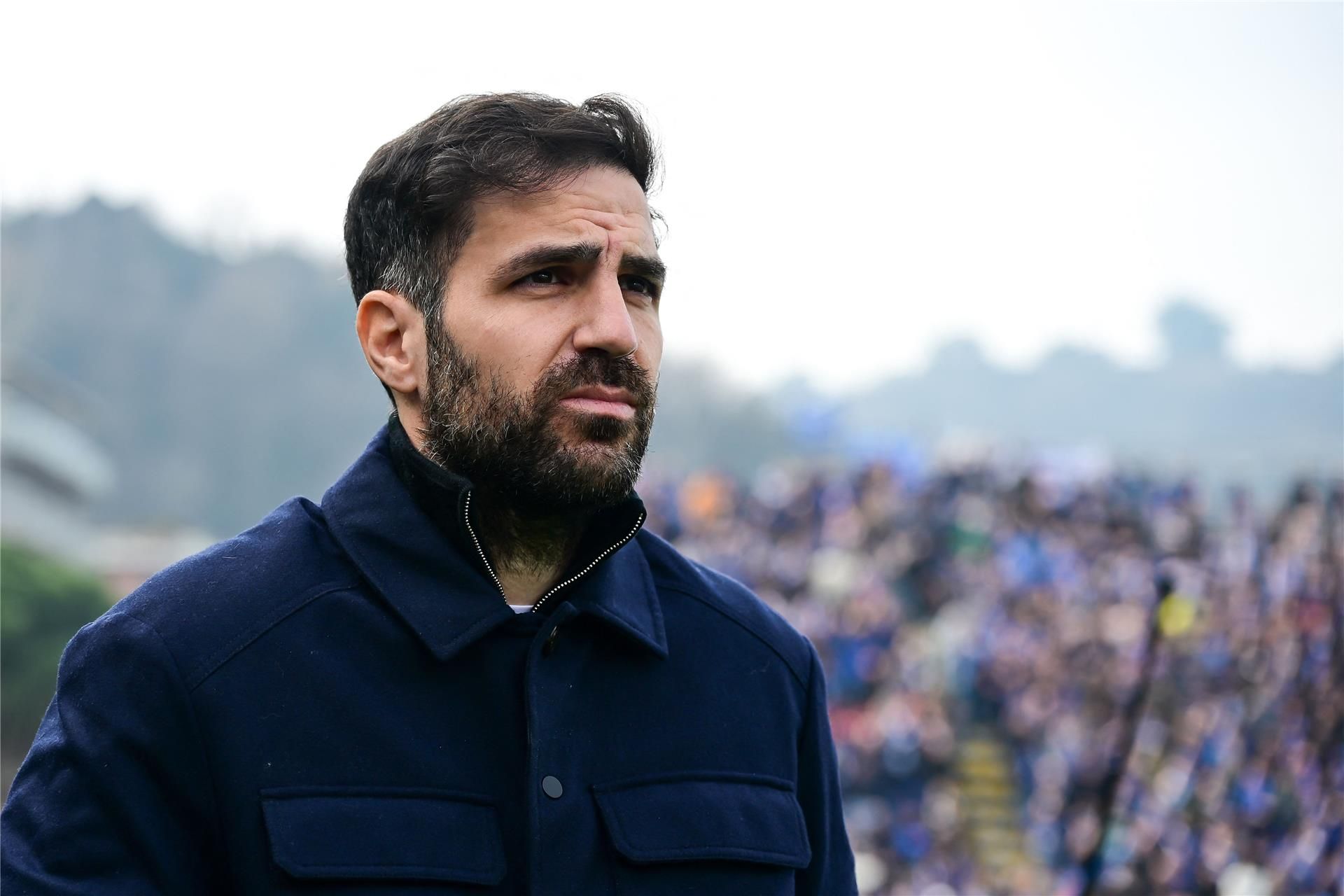 سيسك فابريجاس