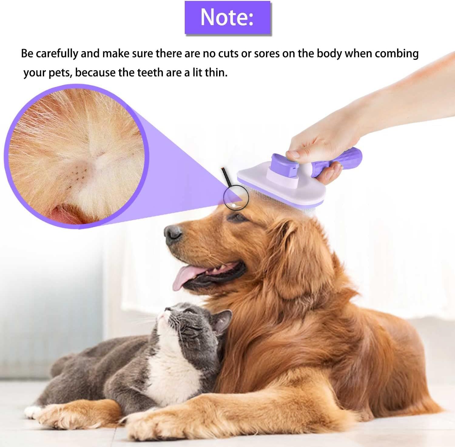 71vvI6dx-UL._AC_SL1500_