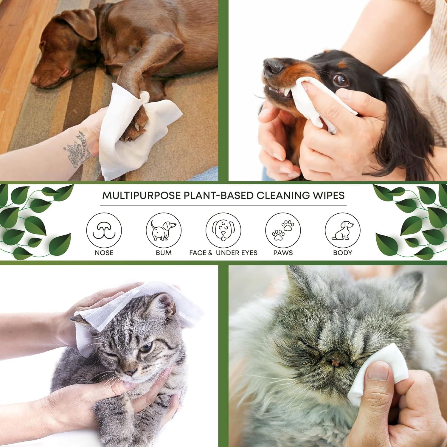 81Dir6lRmVL._AC_SL1500_