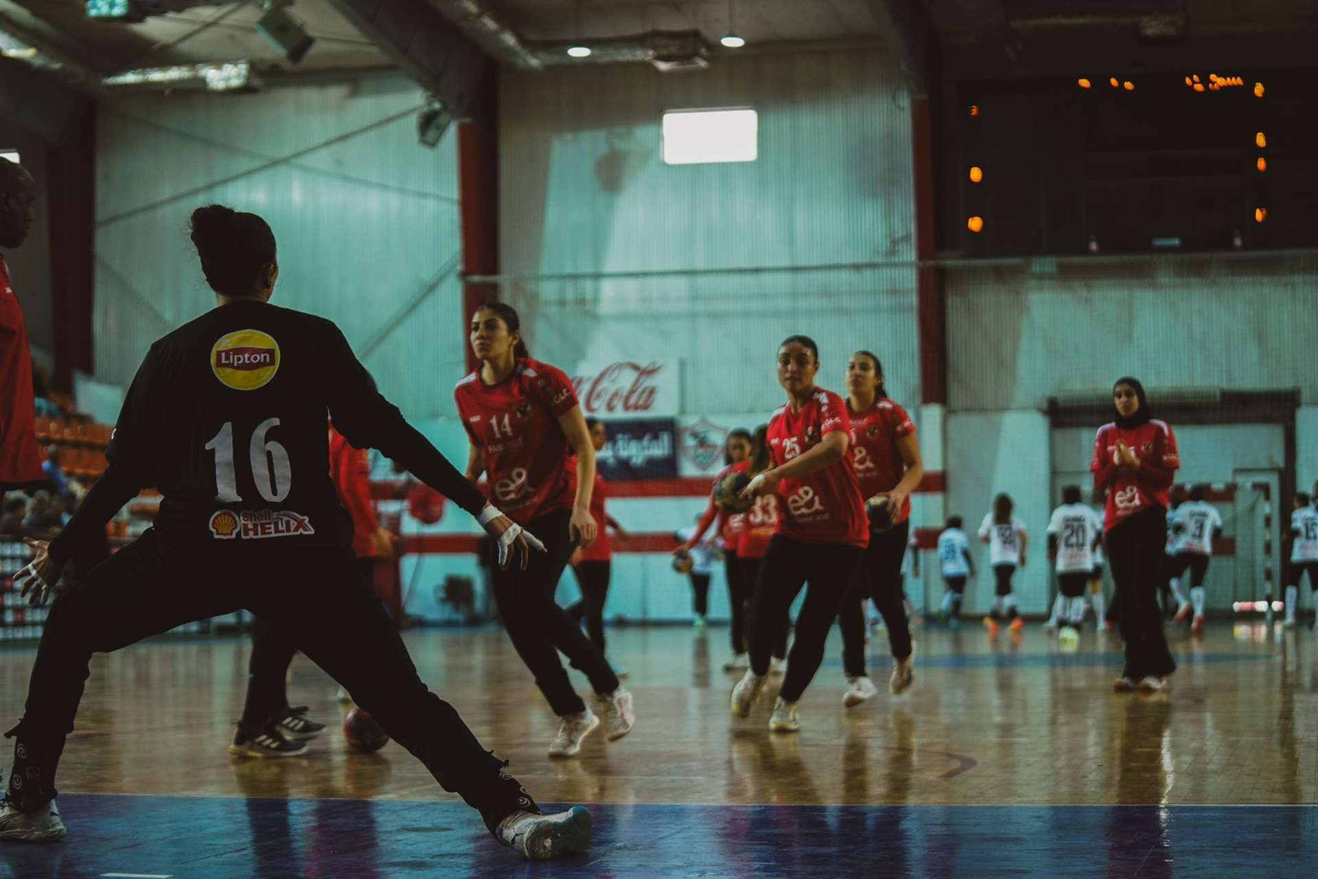 ahli zamalik sydat yad3