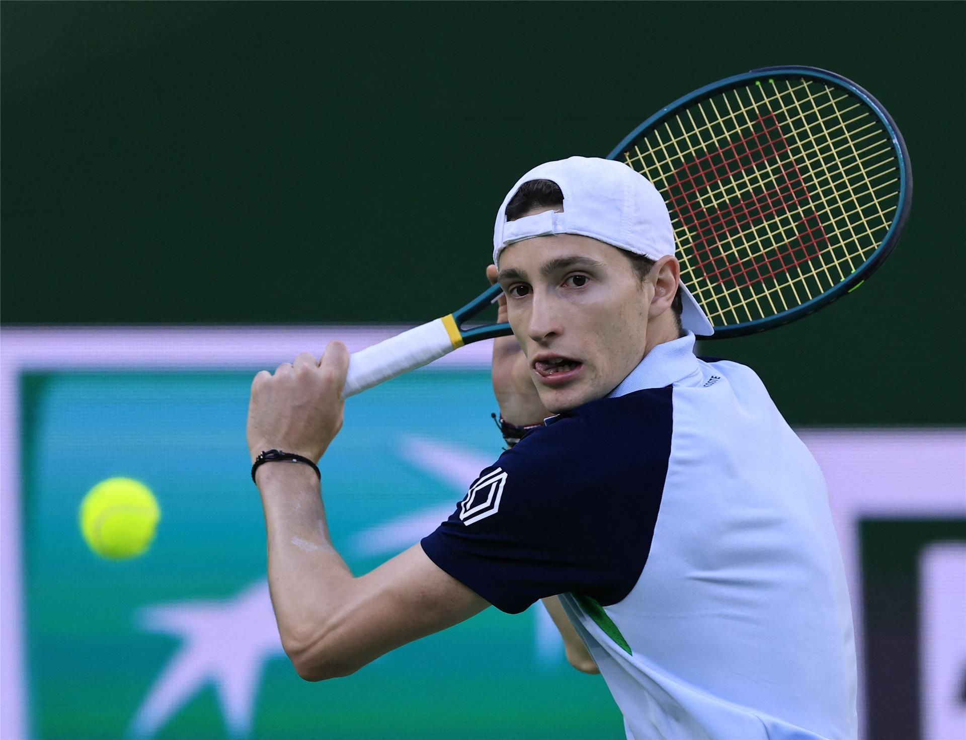 أوجو هومبيرت