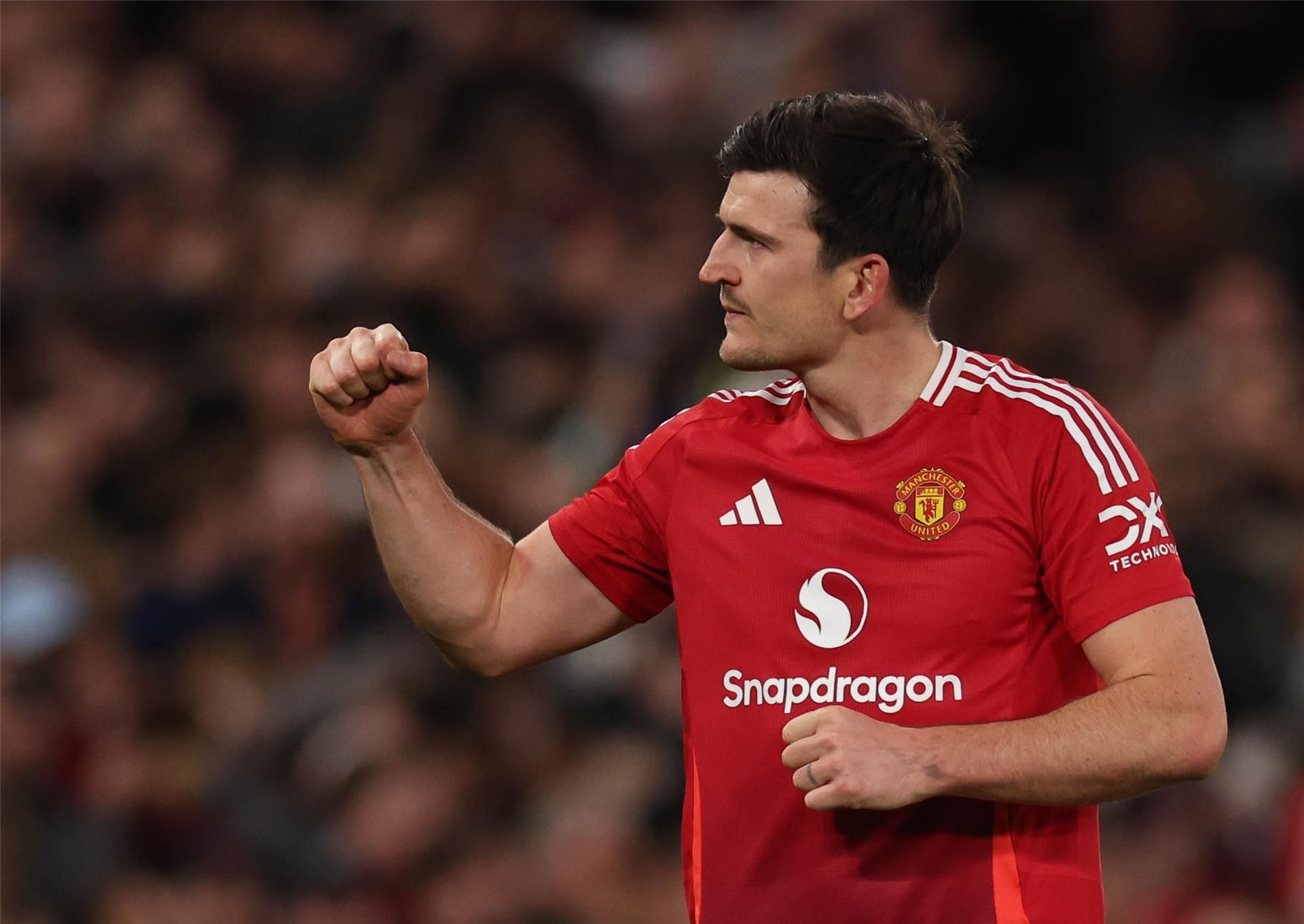 هاري ماجواير