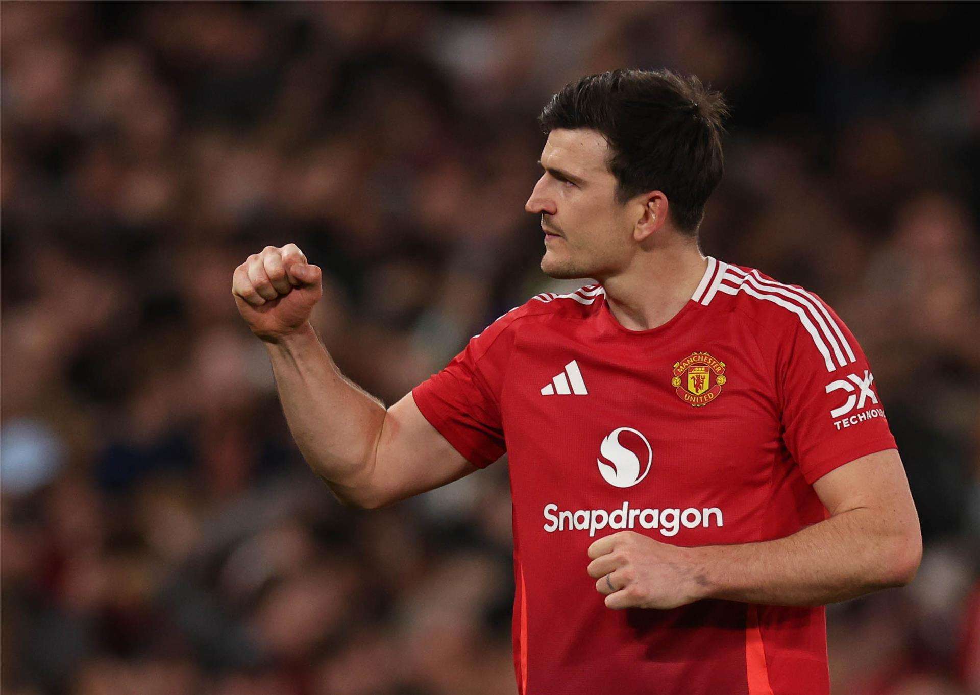 هاري ماجواير