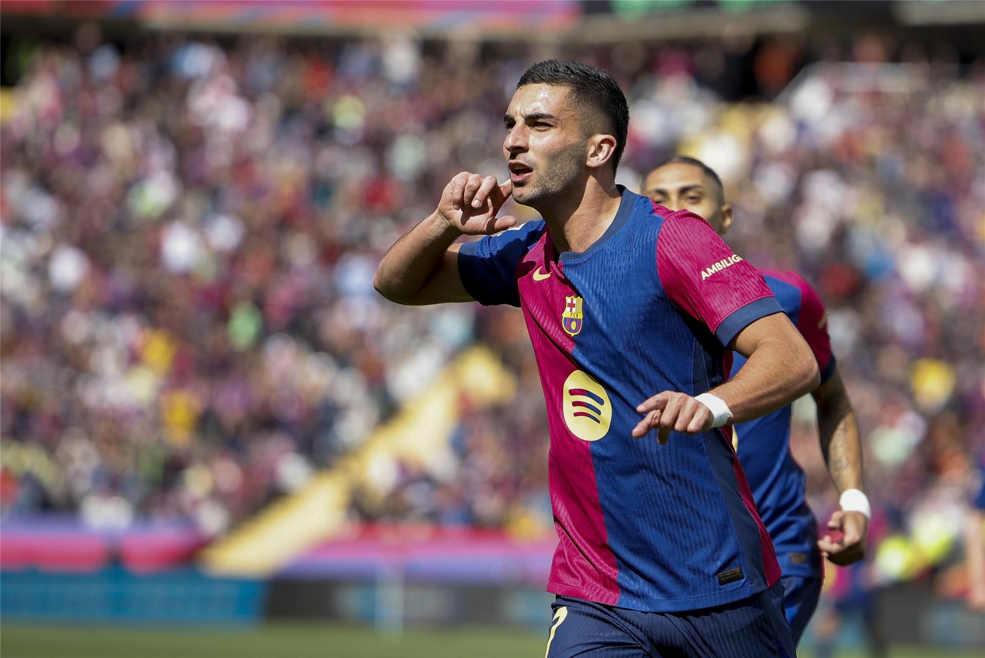 فيران توريس