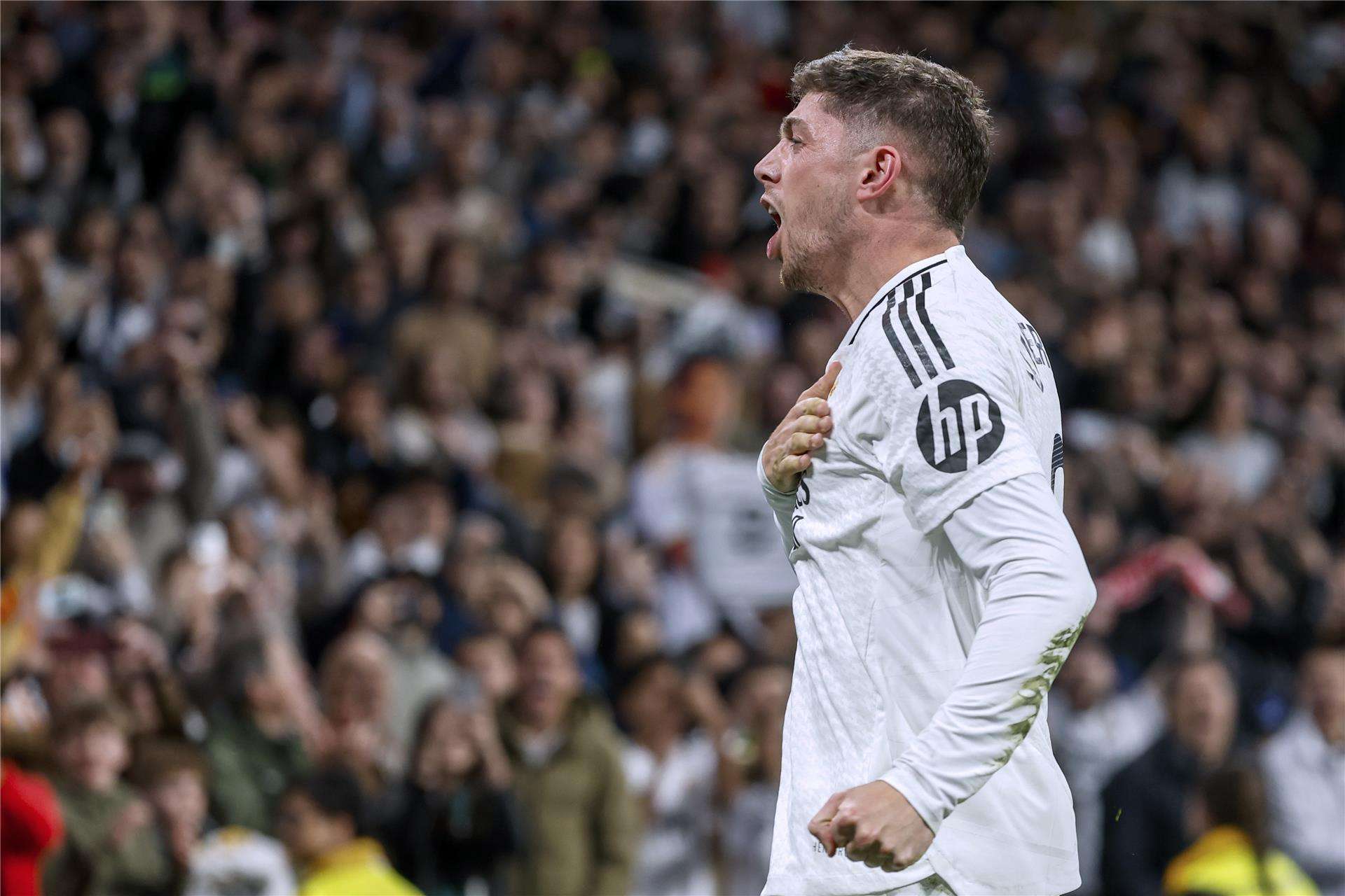 فيدي فالفيردي