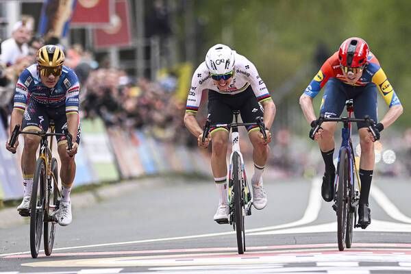 تاديج بوجاكار