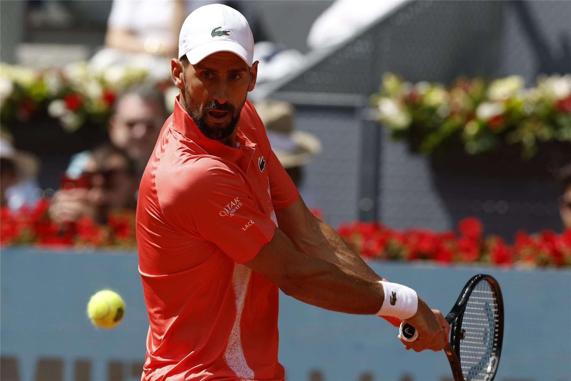 نوفاك ديوكوفيتش