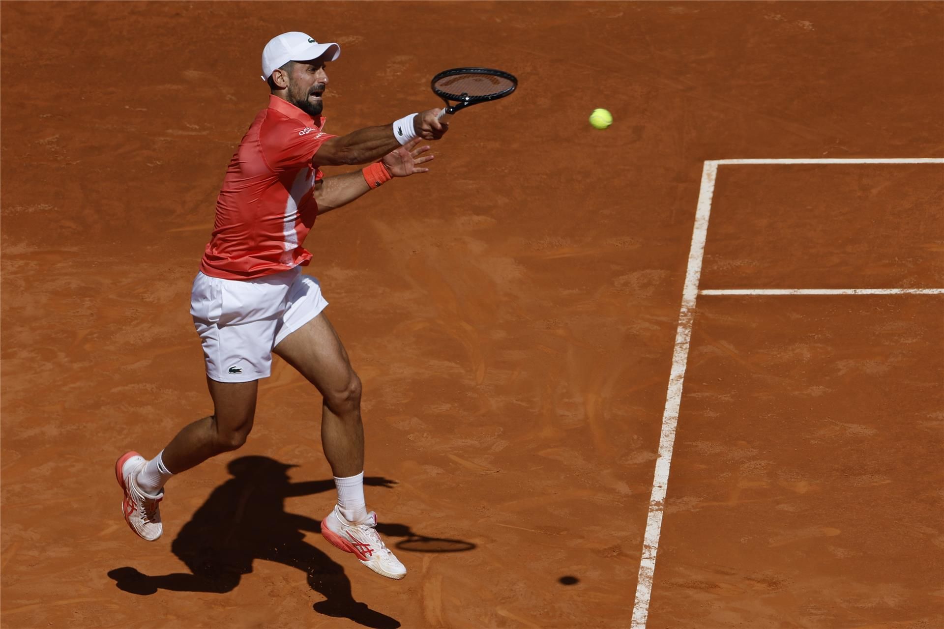 نوفاك ديوكوفيتش