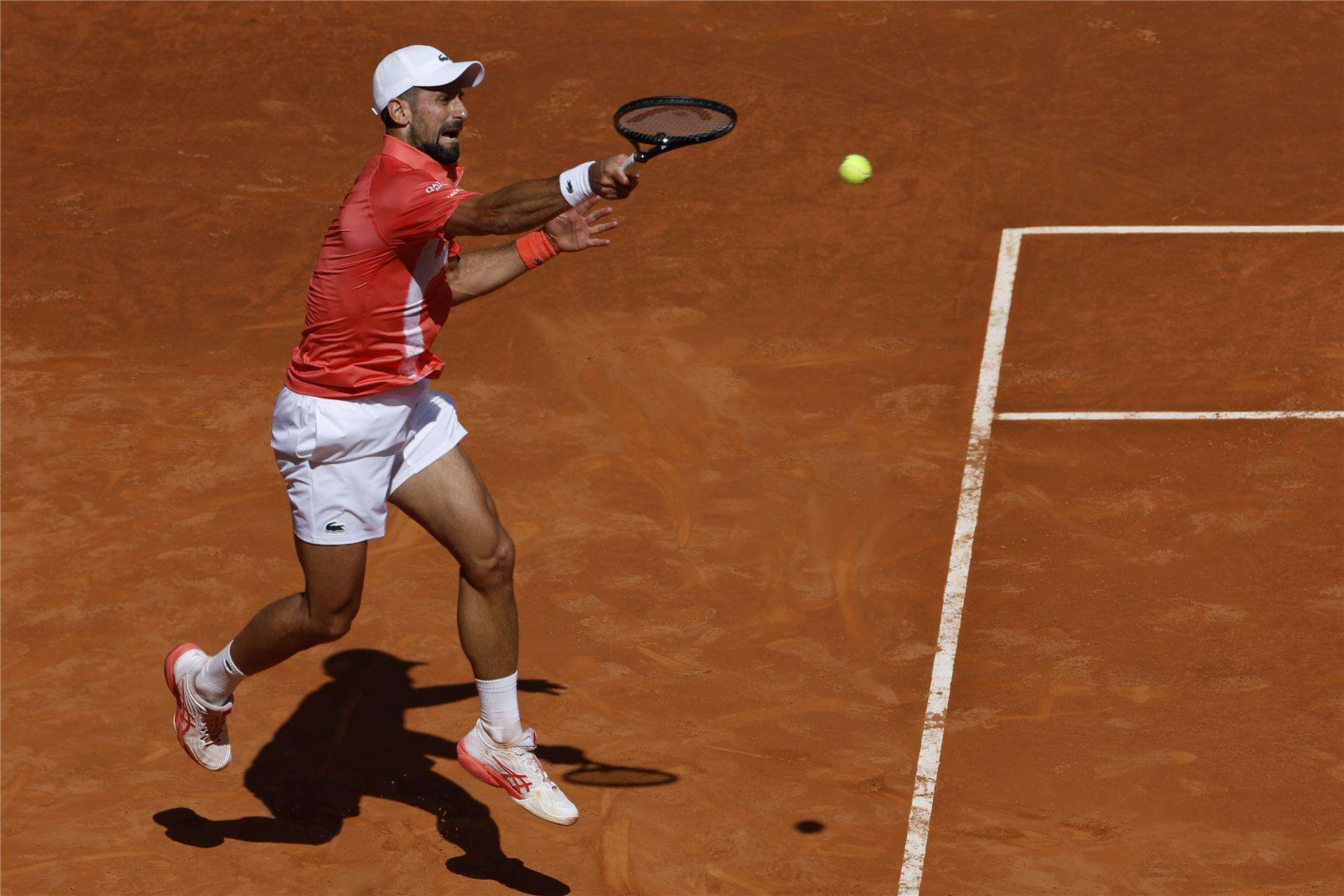 نوفاك ديوكوفيتش