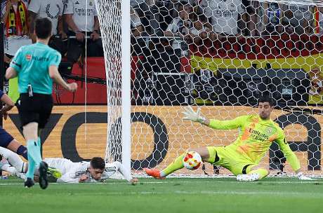 فيدي فالفيردي