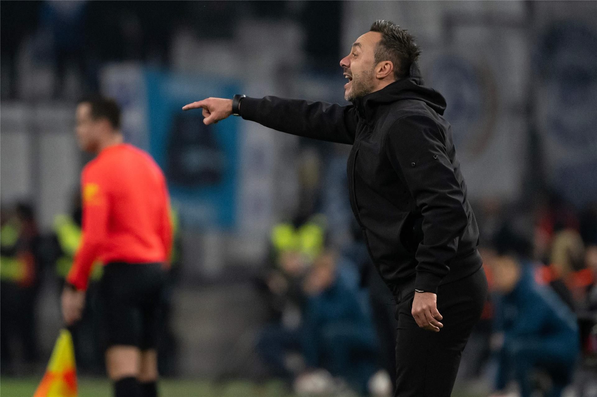 روبرتو دي زيربي