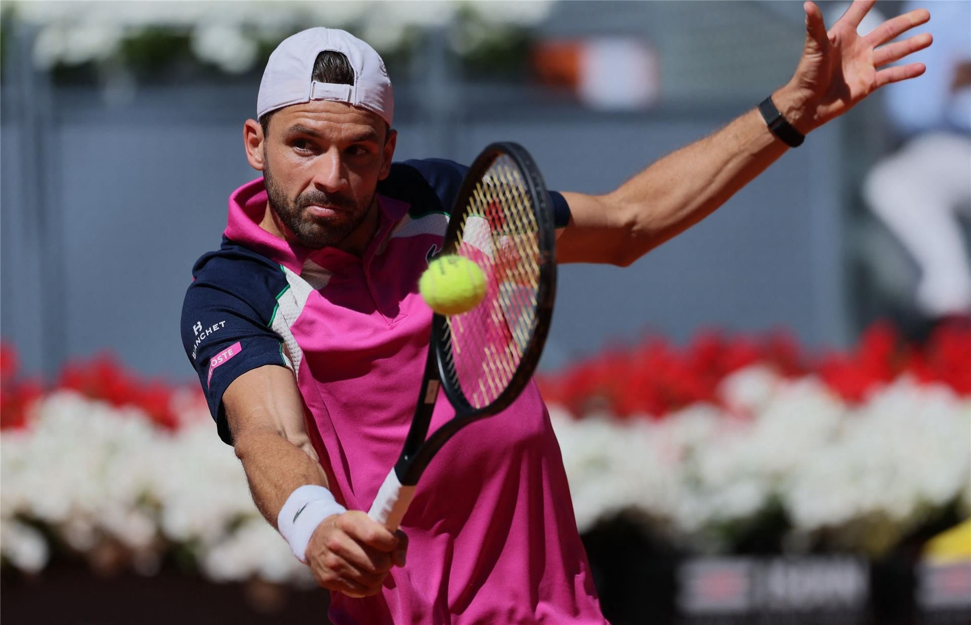 جريجور ديمتروف