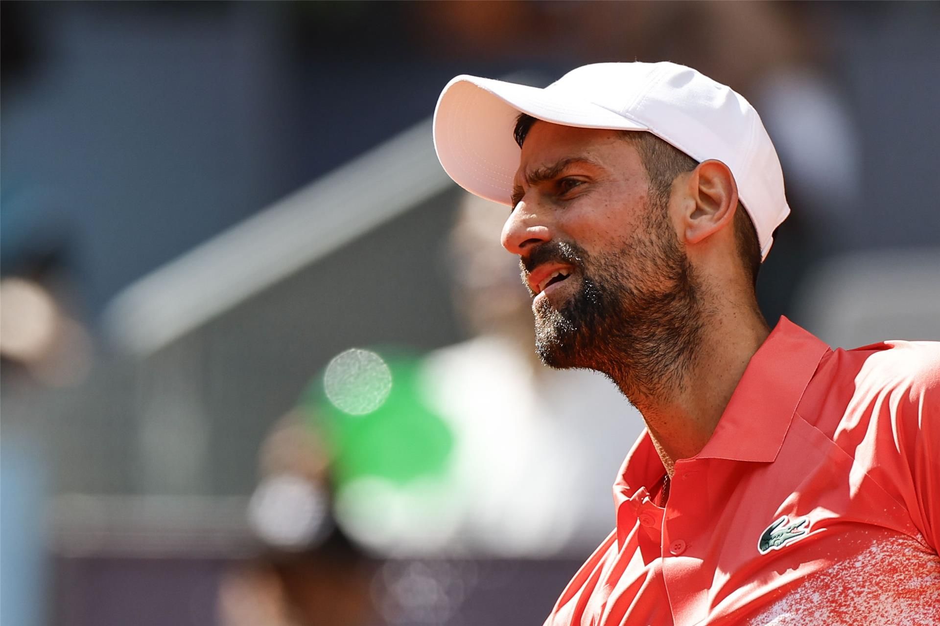 نوفاك ديوكوفيتش