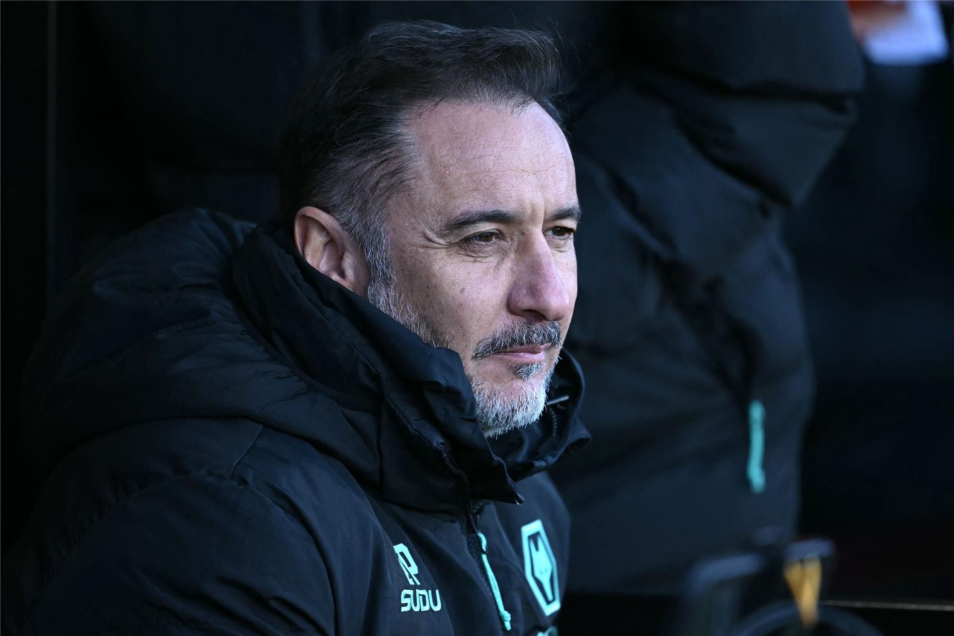 فيتور بيريرا