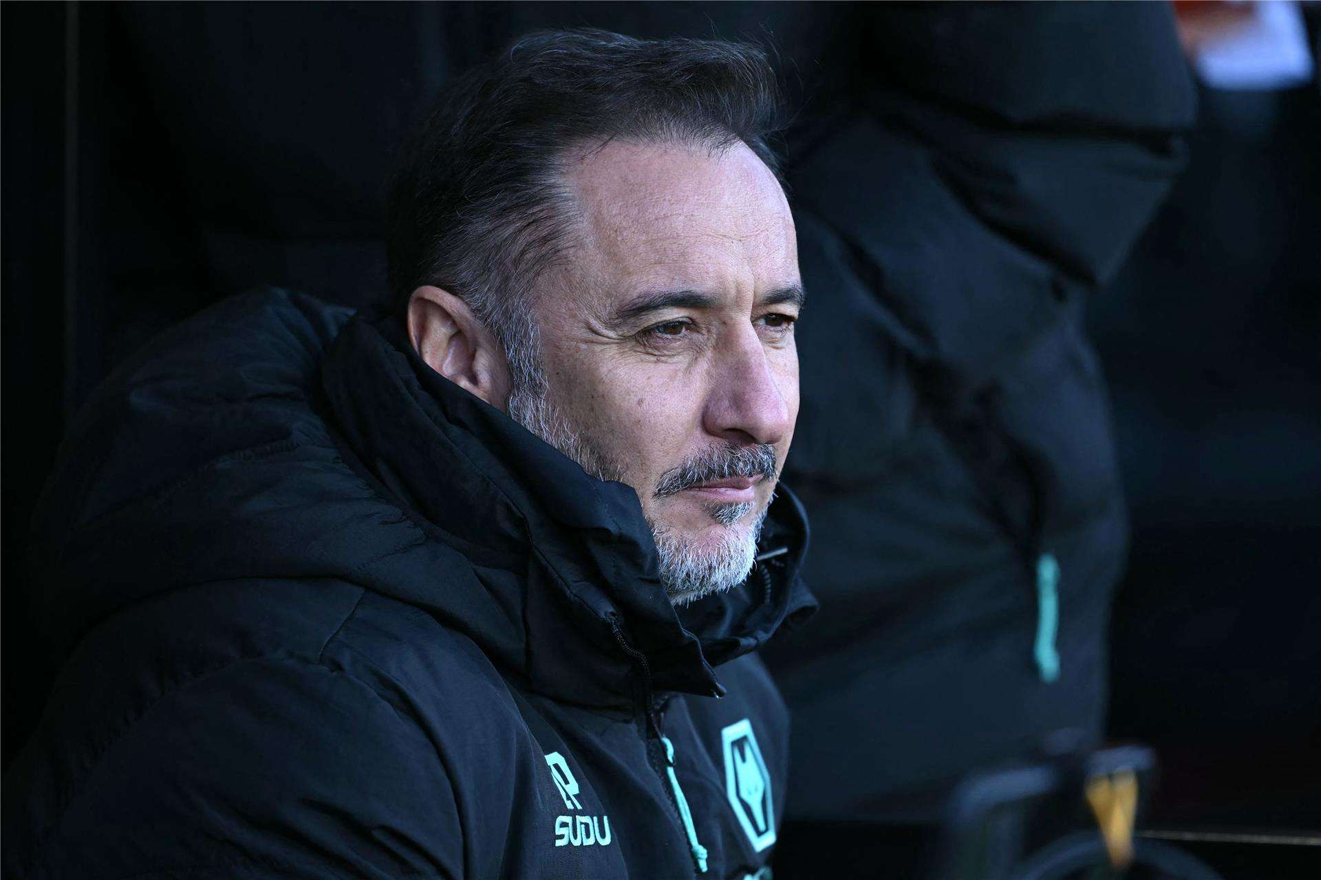 فيتور بيريرا