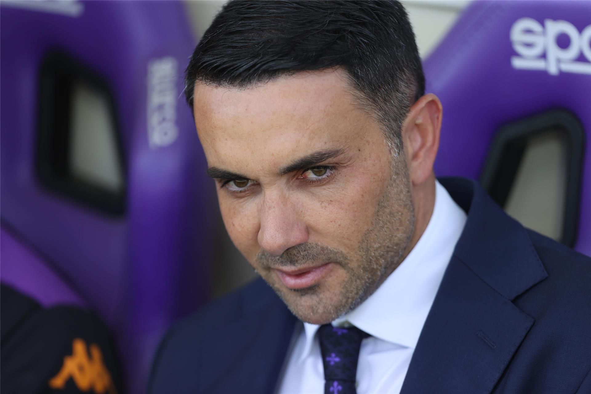 رافايلي بالادينو