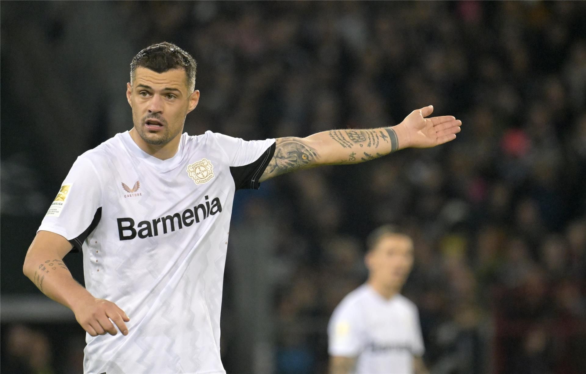 جرانيت تشاكا