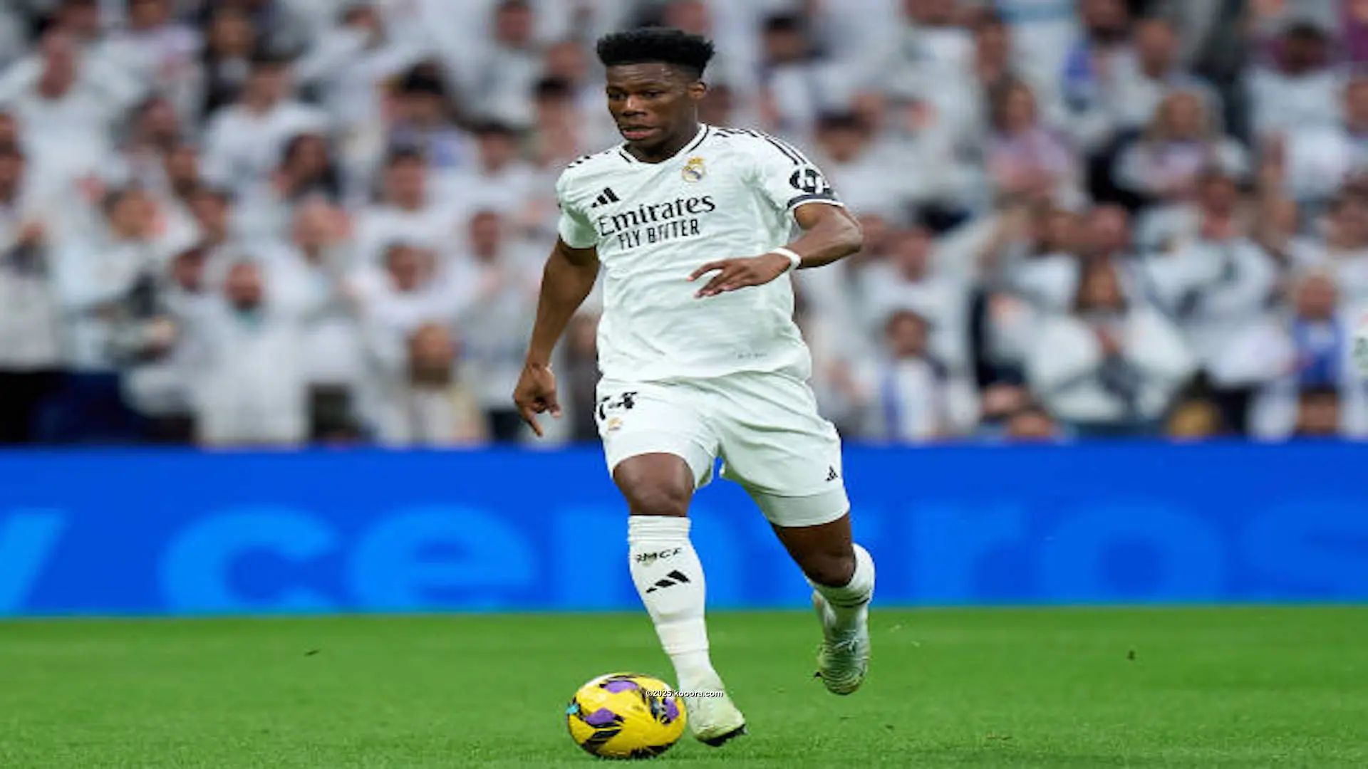 ?i=mhmed_aziz%2fjanuary%2f1%2f1%2f2019_january_koo_1%2fahmed_hassan%2fgettyimages-2204223539-612x612