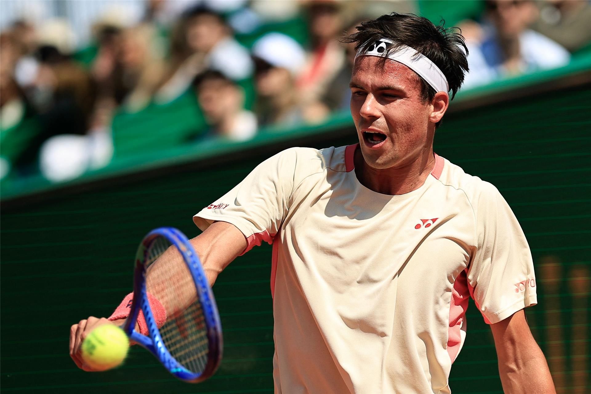 دانييل ألتماير