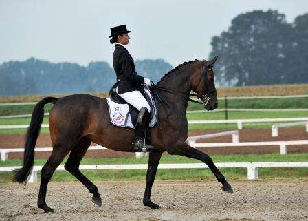 الفارسة فرح الخوجاي.