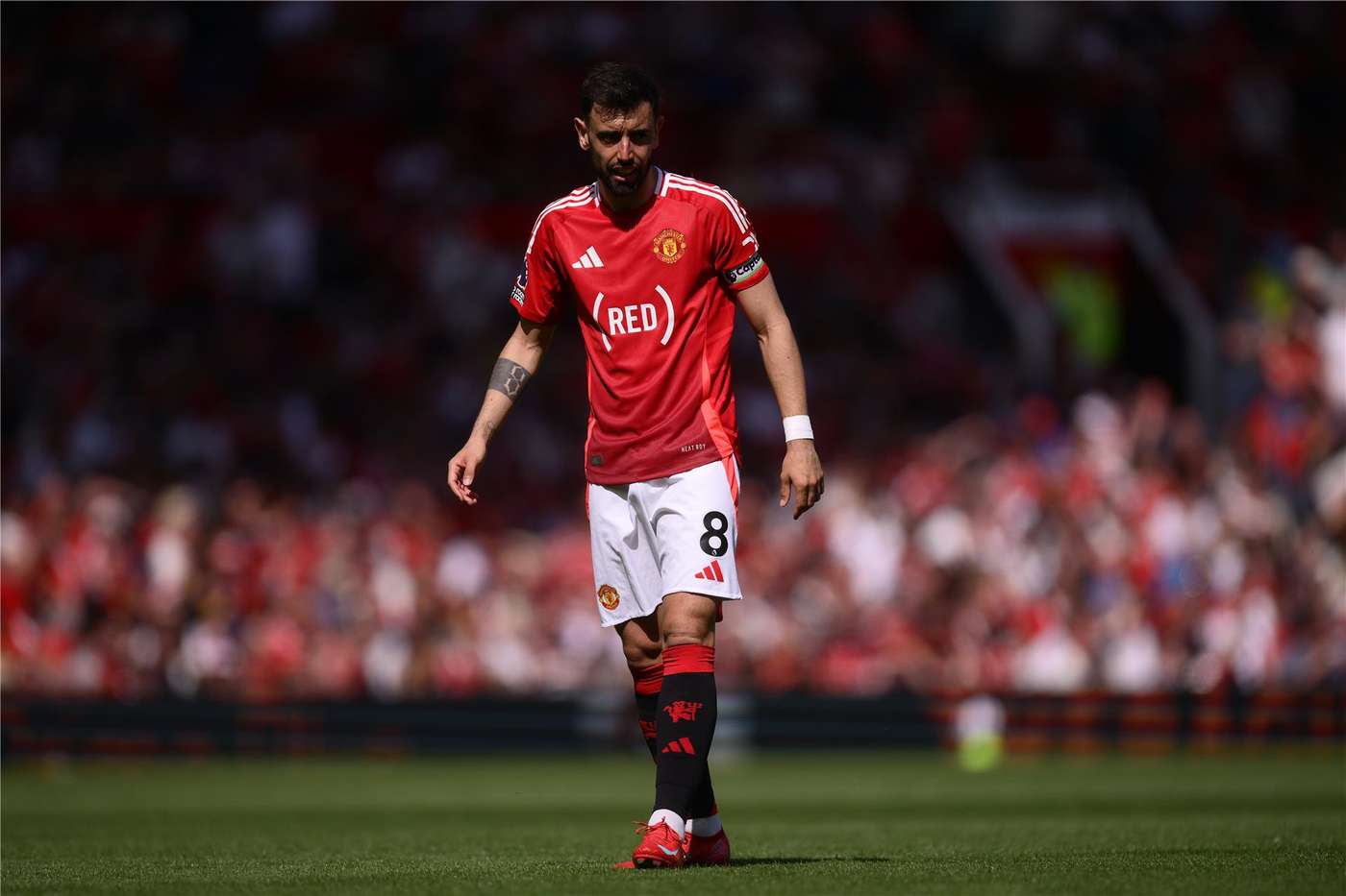 برونو فيرنانديز