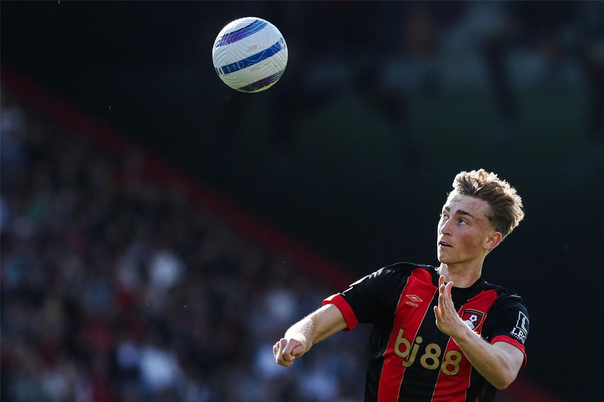 ديان هويسين